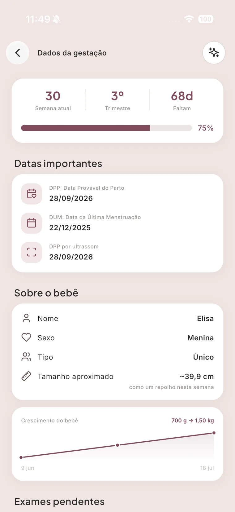 Tela de dados da gestação: semana 30, terceiro trimestre, dias restantes, datas importantes, tamanho aproximado do bebê e gráfico de crescimento em quilogramas
